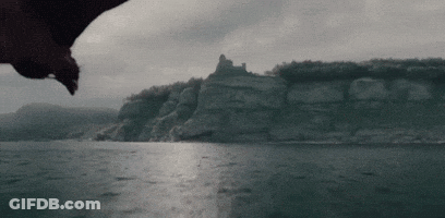 A Bird Flying Over A Body Of Water With A Cliff In The Background GIF