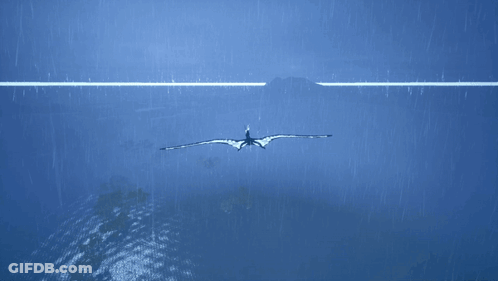 A Bird Flying Over A Body Of Water With A White Line In The Middle GIF