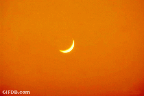 A Bird Is Flying Over A Crescent Moon In The Sky GIF