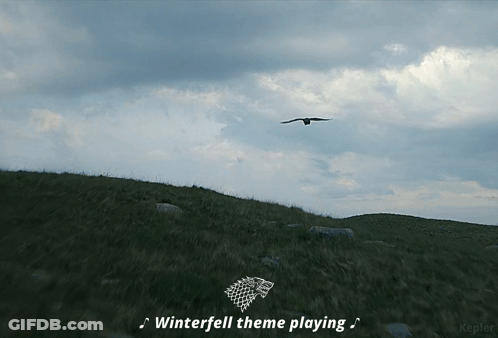 A Bird Is Flying Over A Grassy Hill With The Words Winterfell Theme Playing GIF
