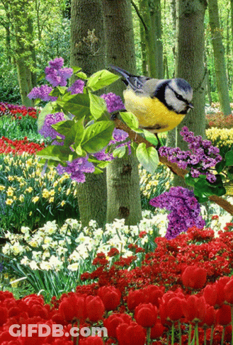 A Bird Is Perched On A Branch In A Garden Of Flowers GIF