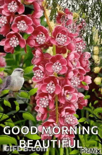 A Bird Is Perched On A Branch Of Pink Flowers And Says `` Good Morning Beautiful '' . GIF
