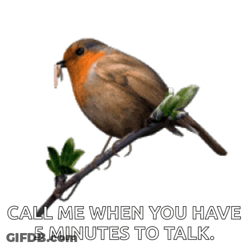 A Bird Is Perched On A Branch With The Words Call Me When You Have 5 Minutes To Talk Below It GIF
