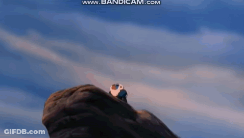 A Bird Is Perched On Top Of A Rock . GIF