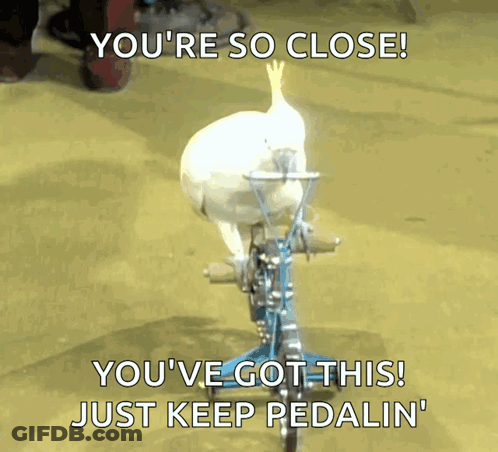 A Bird Is Riding A Bike With The Caption " You 'Re So Close " GIF