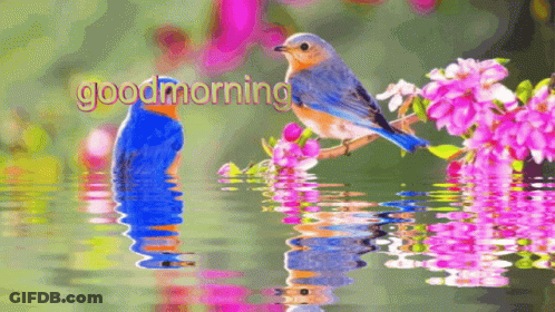 A Bird Is Sitting On A Branch In The Water And The Words Good Morning Are Visible GIF