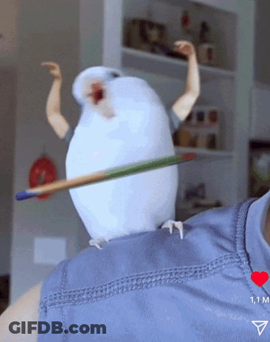 A Bird Is Sitting On A Person 'S Shoulder With A Brush Sticking Out Of It 'S Beak GIF