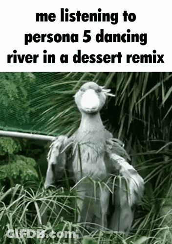 A Bird Is Standing In The Grass With The Words " Me Listening To Persona 5 Dancing River In A Dessert Remix " GIF