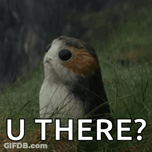 A Bird Is Standing In The Grass With The Words U There Written Below It GIF