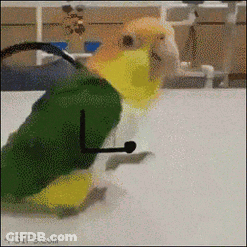 A Bird Is Wearing A Green And Yellow Outfit And A Microphone On Its Head .. GIF