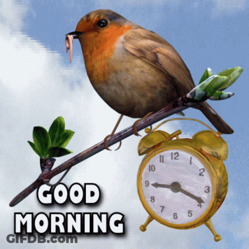 A Bird Perched On A Branch Next To An Alarm Clock With The Words Good Morning Below It GIF