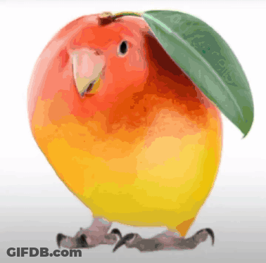 A Bird That Looks Like An Apple With A Leaf On Its Head GIF