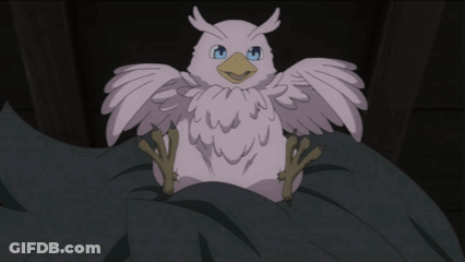 A Bird With A Blue Eye Is Sitting On A Rock GIF