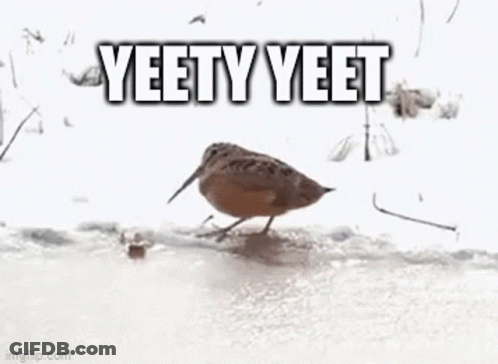 A Bird With A Long Beak Is Walking On A Snow Covered Field . GIF