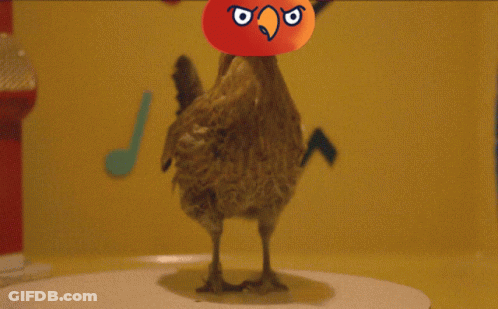 A Bird With A Red Ball On Its Head With An Angry Face GIF
