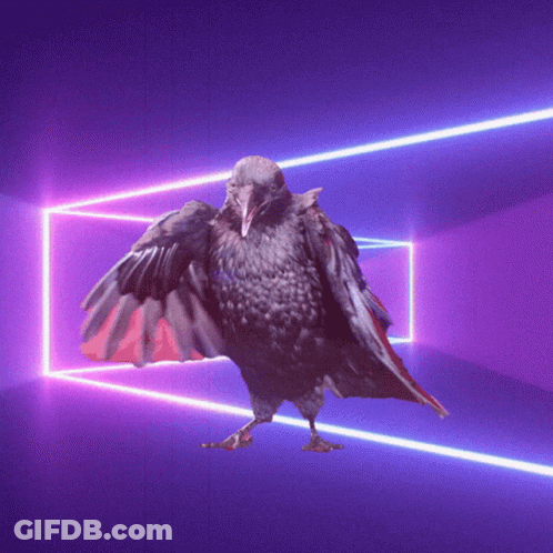 A Bird With Its Wings Outstretched Is Standing In Front Of A Purple Light GIF
