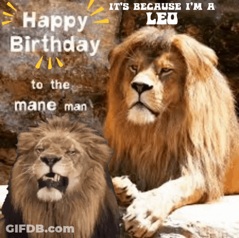 A Birthday Card For A Leo With Two Lions On It GIF