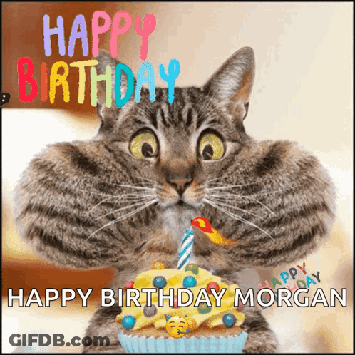 A Birthday Card With A Cat Holding A Cupcake With A Candle And The Words Happy Birthday Morgan GIF