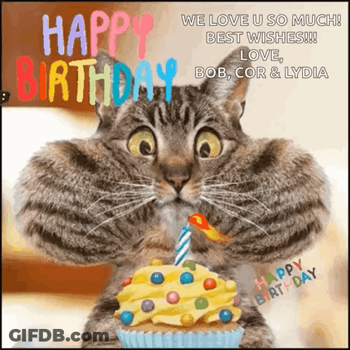 A Birthday Card With A Cat Holding A Cupcake With A Candle On It GIF