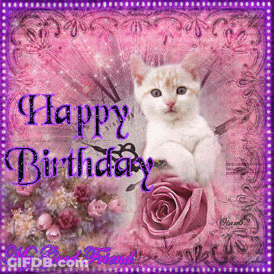 A Birthday Card With A Kitten And A Pink Rose GIF