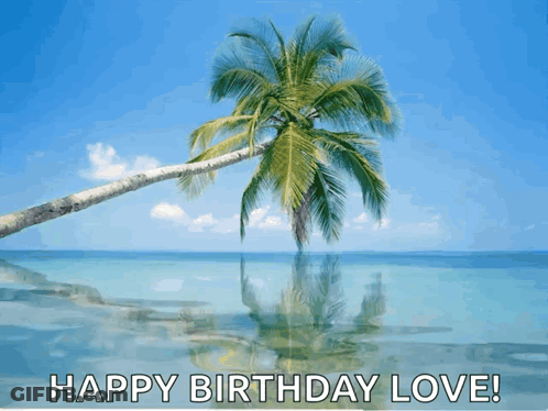 A Birthday Card With A Palm Tree On The Beach And The Words Happy Birthday Love GIF