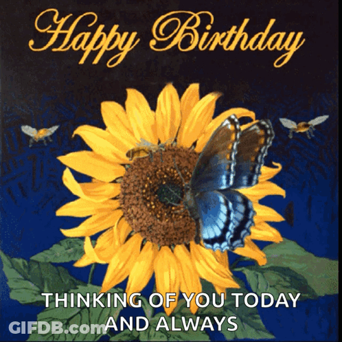 A Birthday Card With A Sunflower And Butterflies And The Words " Thinking Of You Today And Always " GIF