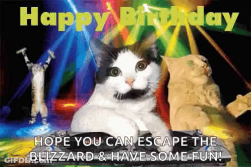 A Birthday Card With Cats And The Words Happy Birthday Hope You Can Escape The Blizzard And Have Some Fun GIF