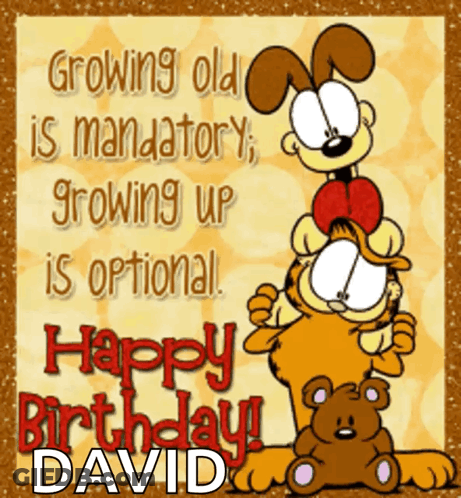 A Birthday Card With Garfield And A Teddy Bear GIF