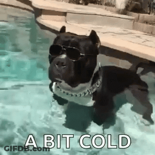 A Bit Cold Dogpool GIF