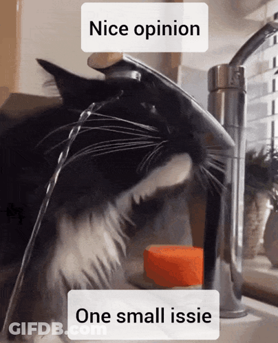 A Black And White Cat Drinking Water From A Faucet That Says Nice Opinion One Small Issie GIF