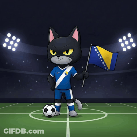 A Black And White Cat Holding A Flag And A Soccer Ball GIF