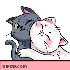 A Black And White Cat Hugging Each Other On A Pink Surface GIF