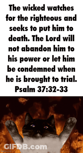 A Black And White Cat In Front Of A Bible Verse From Psalm 37 32-33 GIF