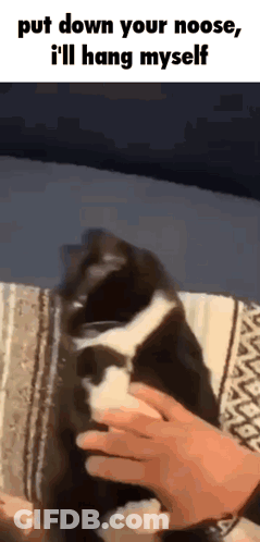 A Black And White Cat Is Being Held By A Person With The Caption Put Down Your Noose , I 'Ll Hang Myself GIF