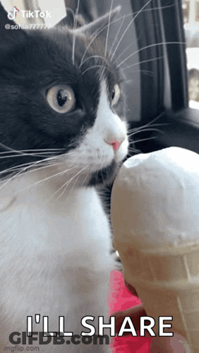 A Black And White Cat Is Eating An Ice Cream Cone With The Words I 'Ll Share Below It GIF