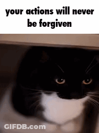 A Black And White Cat Is Hiding Under A Table With The Words `` Your Actions Will Never Be Forgiven '' GIF