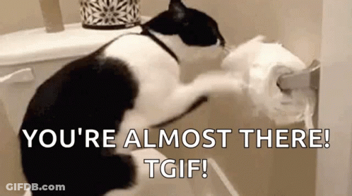 A Black And White Cat Is Holding A Roll Of Toilet Paper . GIF
