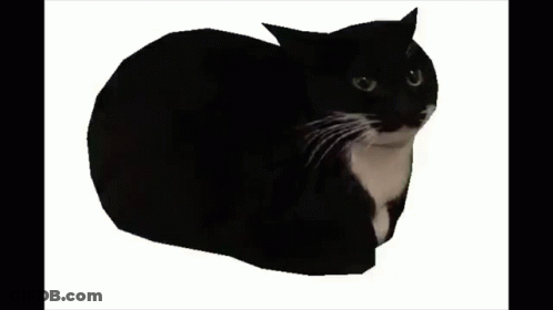 A Black And White Cat Is Laying Down On A White Surface GIF