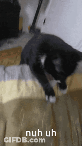 A Black And White Cat Is Laying On A Bed With The Words Nuh Uh Written Below It GIF