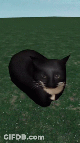 A Black And White Cat Is Laying On A Grassy Field GIF