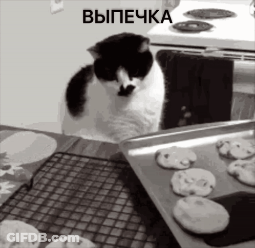 A Black And White Cat Is Looking At A Tray Of Cookies With The Word Выпечка Above It GIF