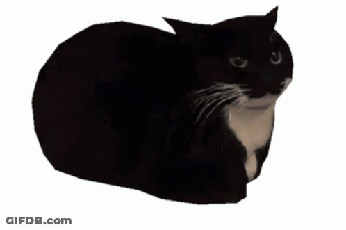 A Black And White Cat Is Looking At The Camera GIF