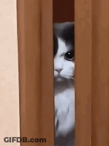 A Black And White Cat Is Peeking Out Of A Doorway . GIF