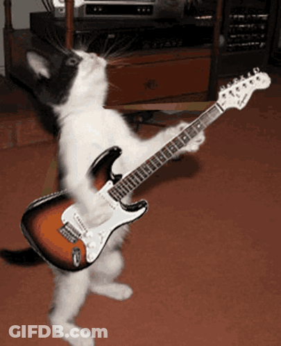 A Black And White Cat Is Playing A Guitar GIF