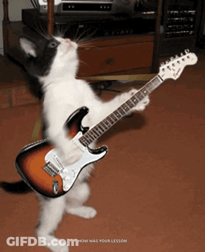 A Black And White Cat Is Playing A Guitar With The Words How Was Your Lesson Below It GIF