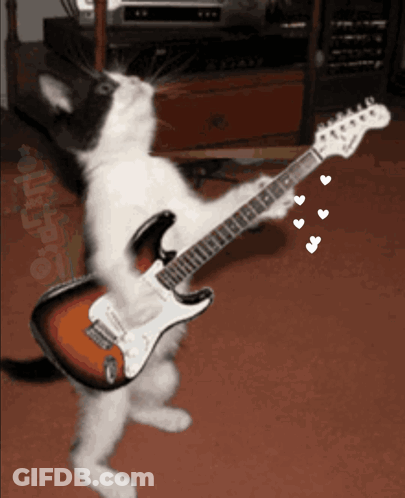 A Black And White Cat Is Playing An Electric Guitar With Hearts Around It GIF