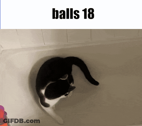 A Black And White Cat Is Playing In A Bathtub With The Words Balls 18 Above It GIF