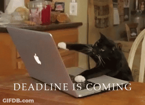 A Black And White Cat Is Playing With An Apple Laptop Computer GIF