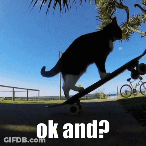 A Black And White Cat Is Riding A Skateboard With The Words " Ok And " Below It GIF