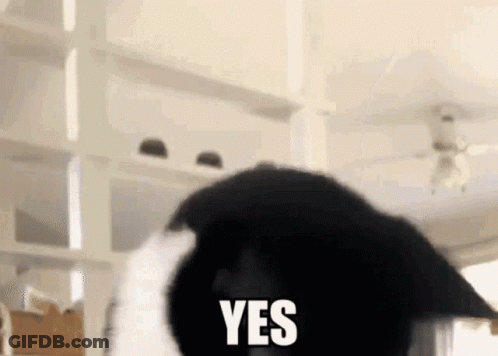 A Black And White Cat Is Saying Yes With Its Paw On Its Head GIF